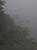 Foggy Point